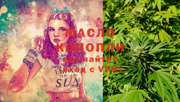 соль ск Надым