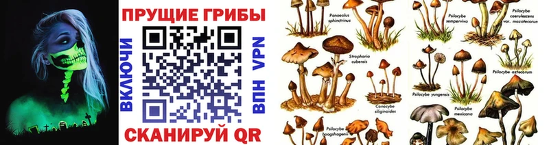 Галлюциногенные грибы мицелий  Ялта 